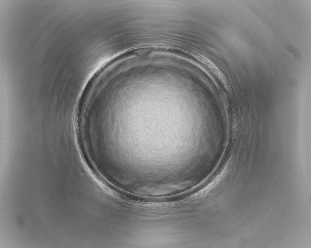 X0000116060989200912041850