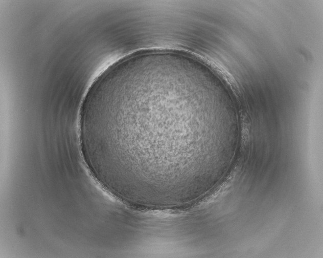 X0000116060990200912041850