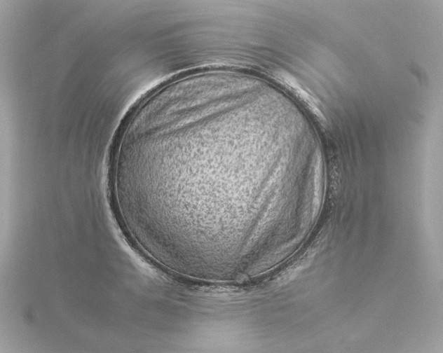 X0000116060991200912041850