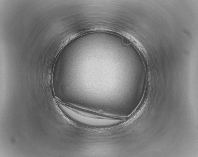 X0000116060993200912041850