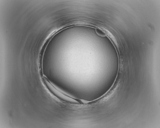 X0000116060997200912041850