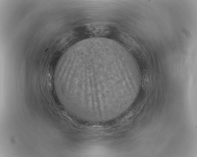 X0000116061010200912041849