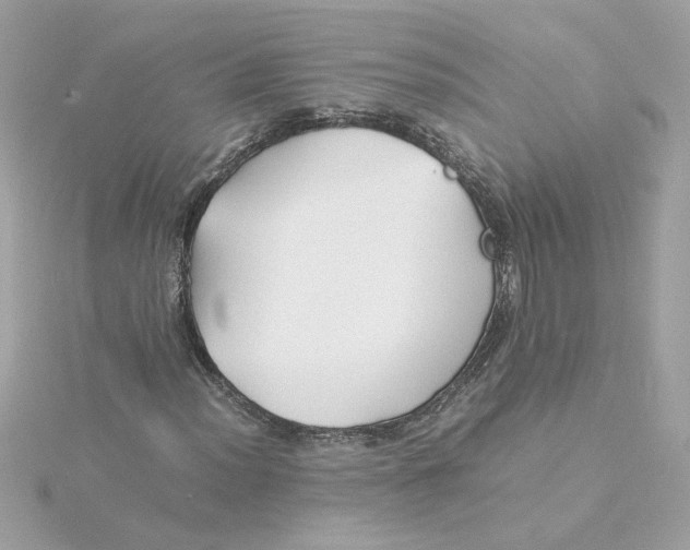 X0000116061012200912041849