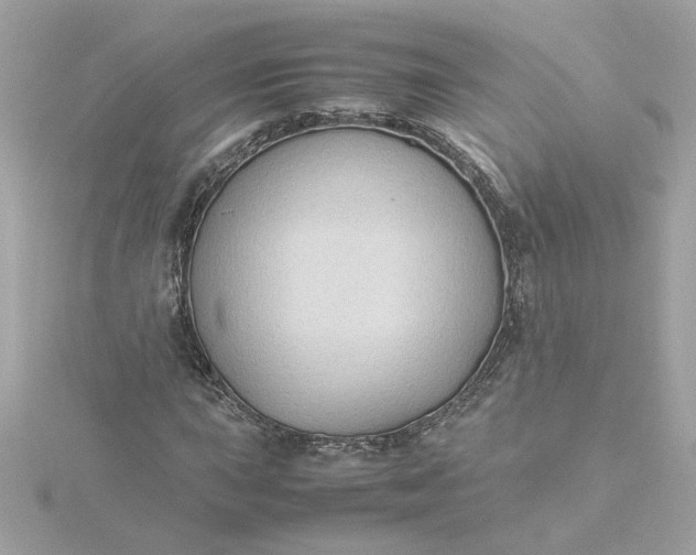 X0000116061015200912041849