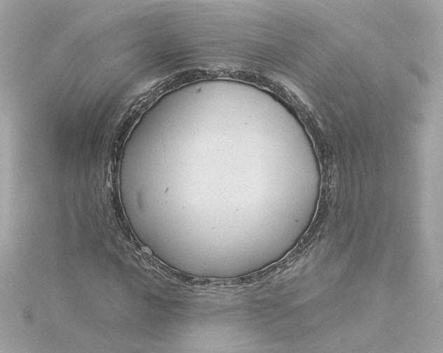 X0000116061016200912041849