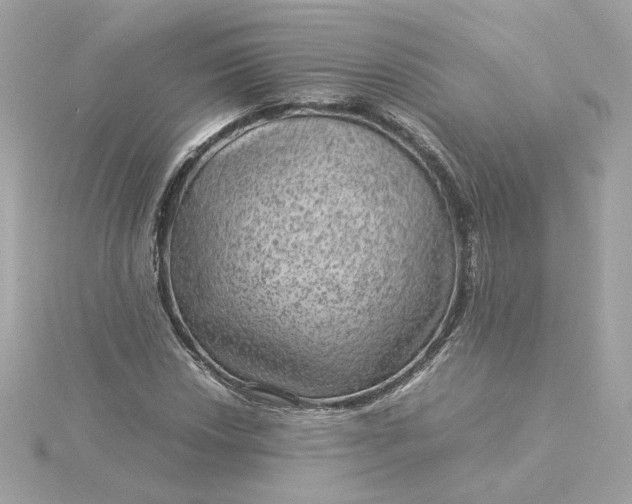 X0000116061018200912041849