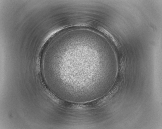 X0000116061019200912041849