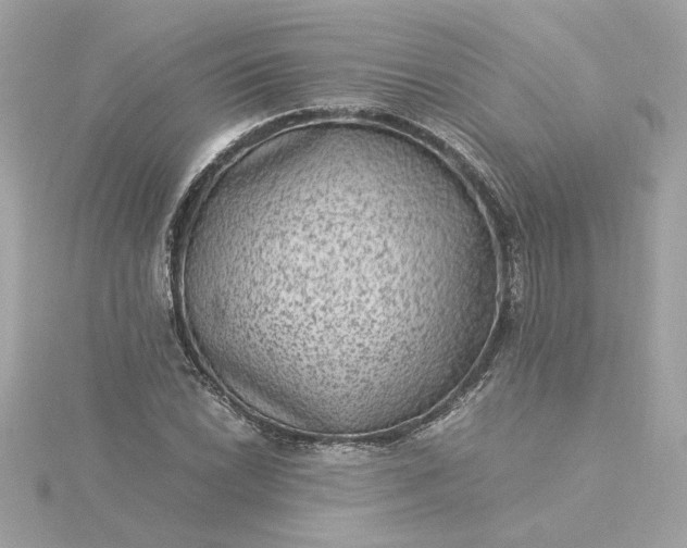 X0000116061022200912041849