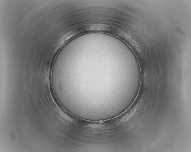 X0000116061033200912041849