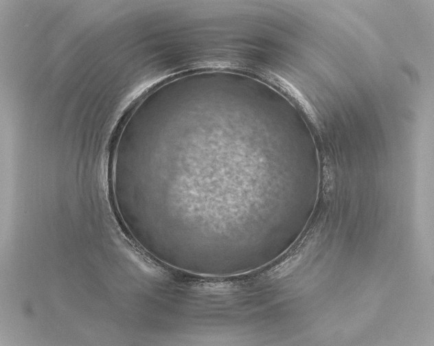X0000116061035200912041849