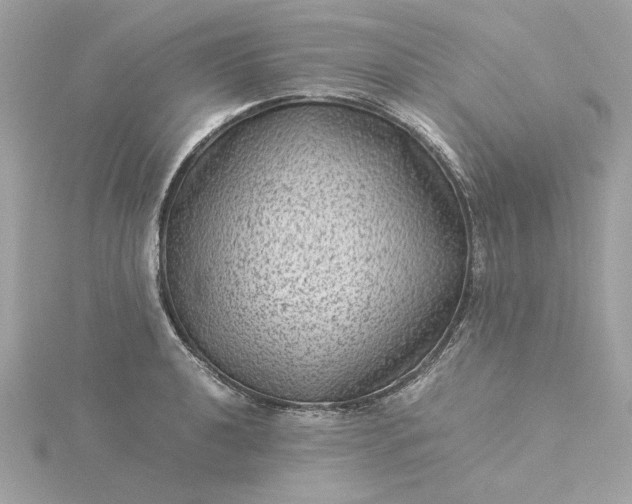 X0000116061040200912041850
