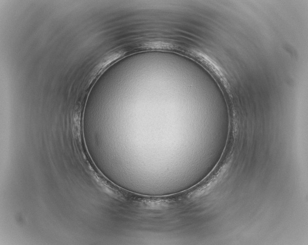 X0000116061041200912041850