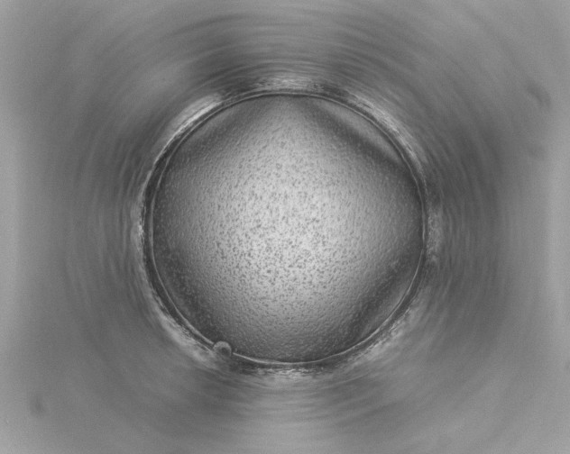 X0000116061042200912041850