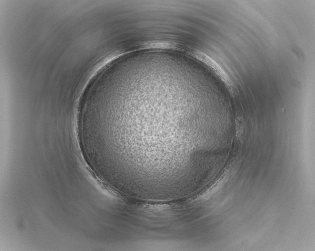 X0000116061043200912041850