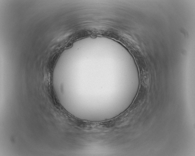 X0000116061061200912041849