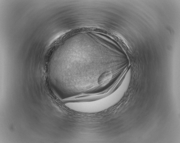 X0000116061064200912041849