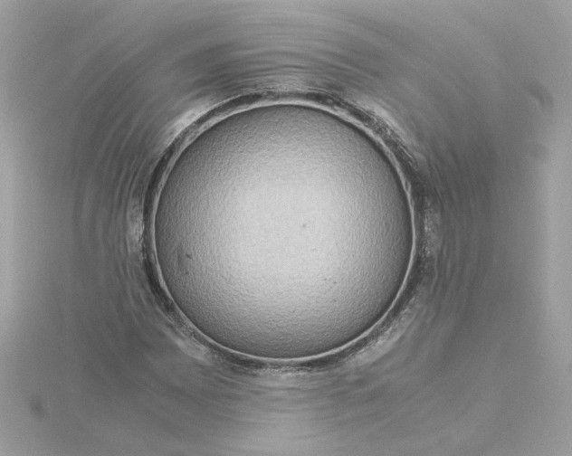 X0000116061065200912041849