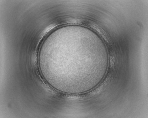 X0000116061074200912041849
