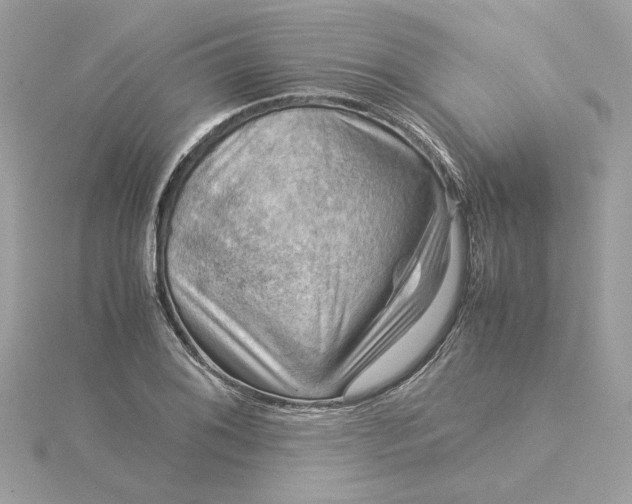 X0000116061076200912041849