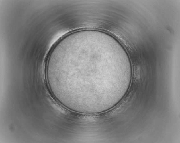 X0000116061078200912041849