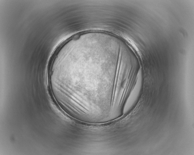 X0000116061080200912041849