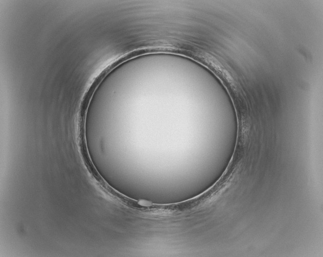 X0000116061085200912041849