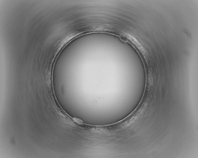 X0000116061089200912041849
