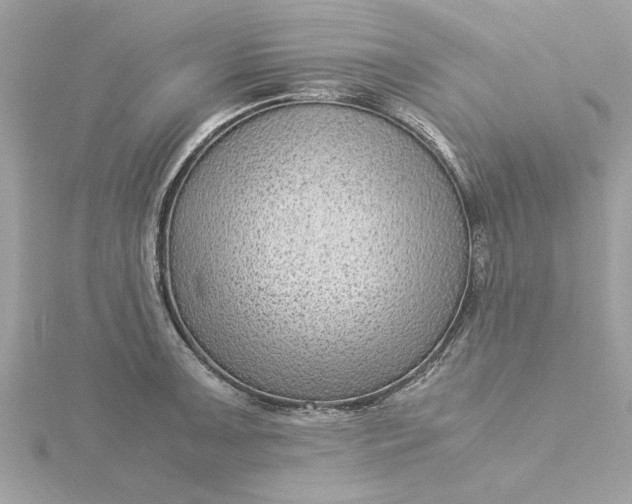 X0000116061091200912041849