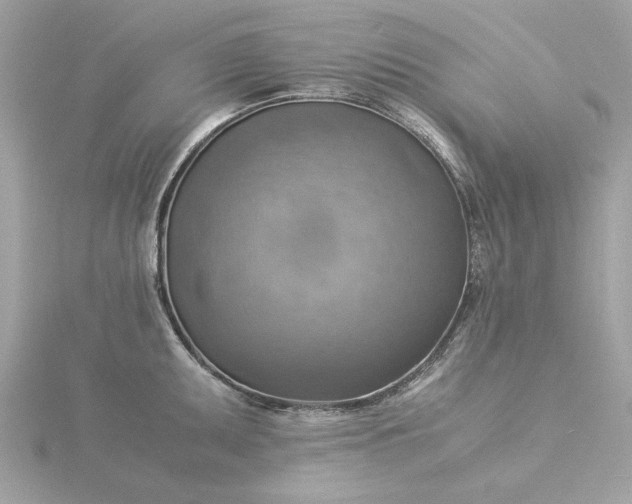 X0000116061095200912041849