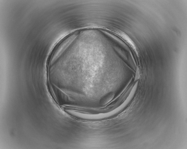 X0000116061096200912041849