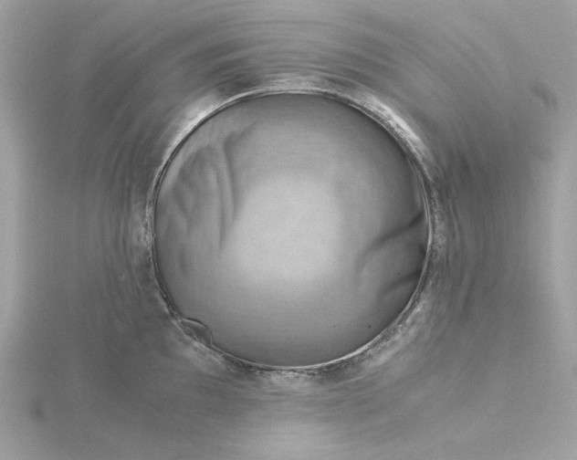 X0000116061097200912041849