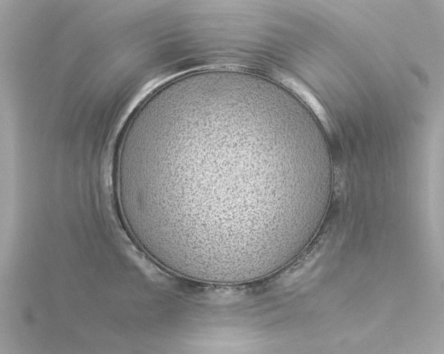 X0000116061099200912041849