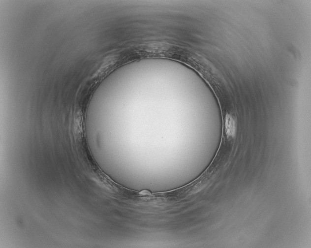 X0000116061107200912041848