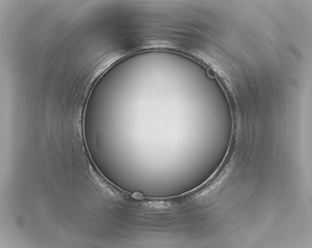 X0000116061137200912041848