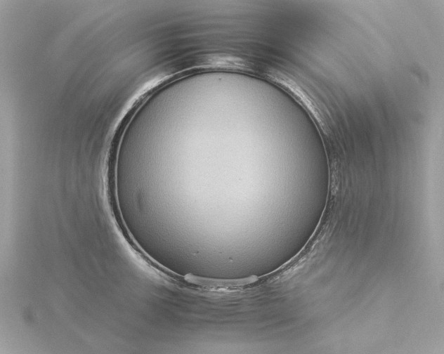 X0000116061139200912041848