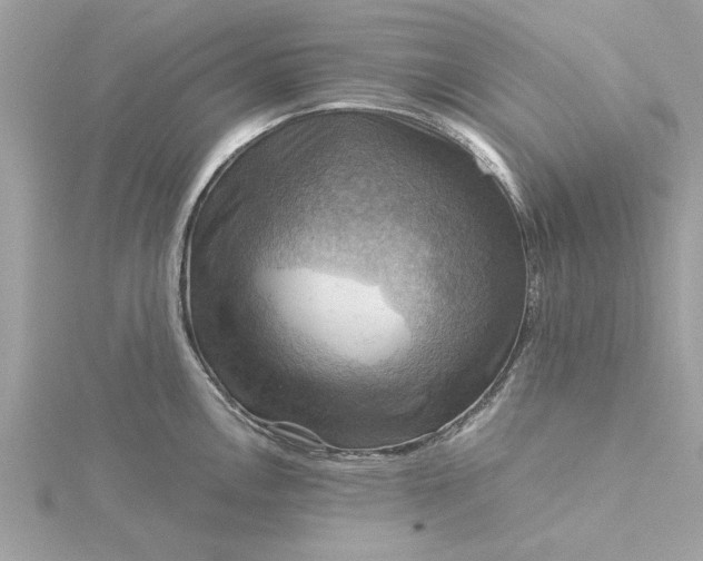 X0000116061146200912041848