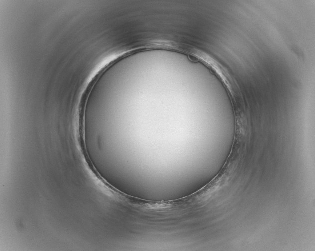 X0000116061147200912041848