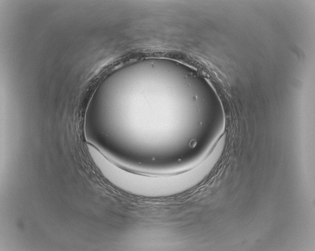 X0000116061157200912041848