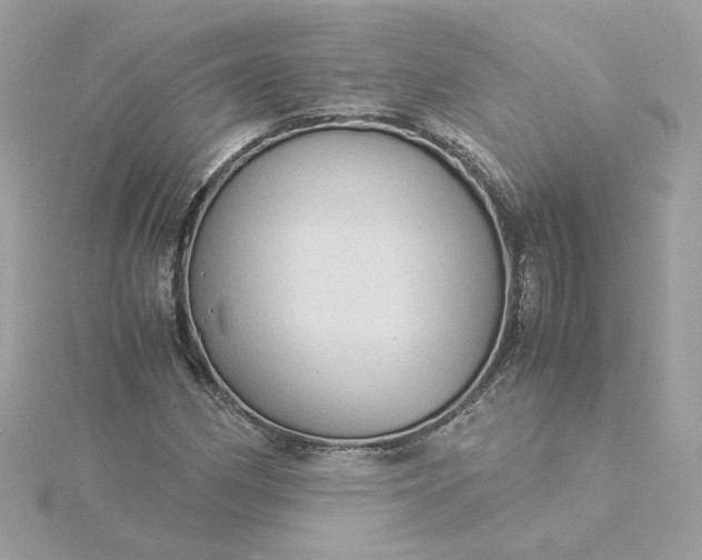 X0000116061162200912041848