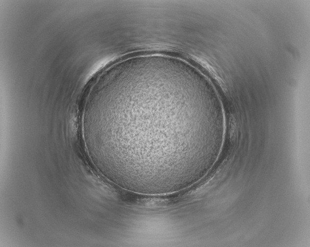 X0000116061163200912041848