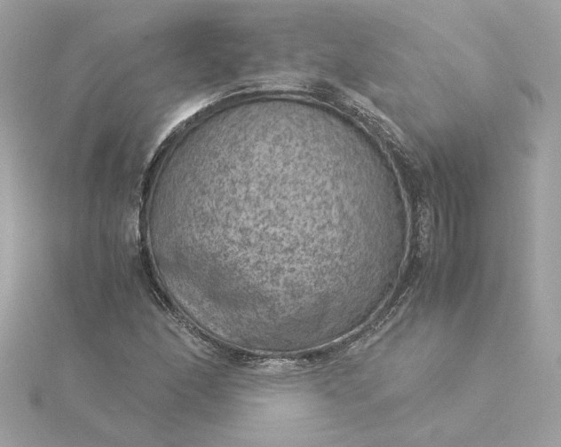 X0000116061166200912041848