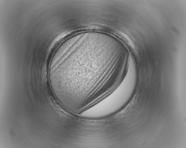 X0000116061172200912041848