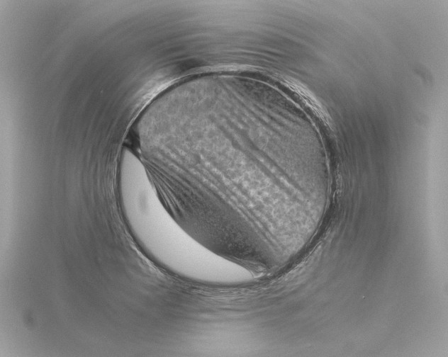 X0000116061177200912041848