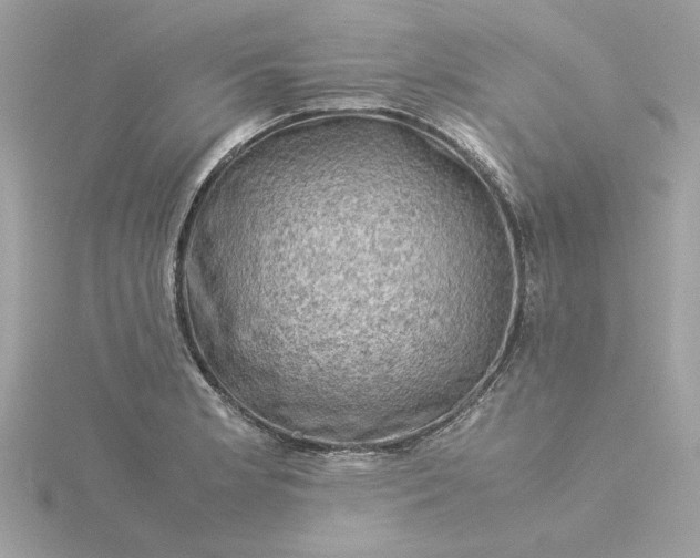 X0000116061181200912041848