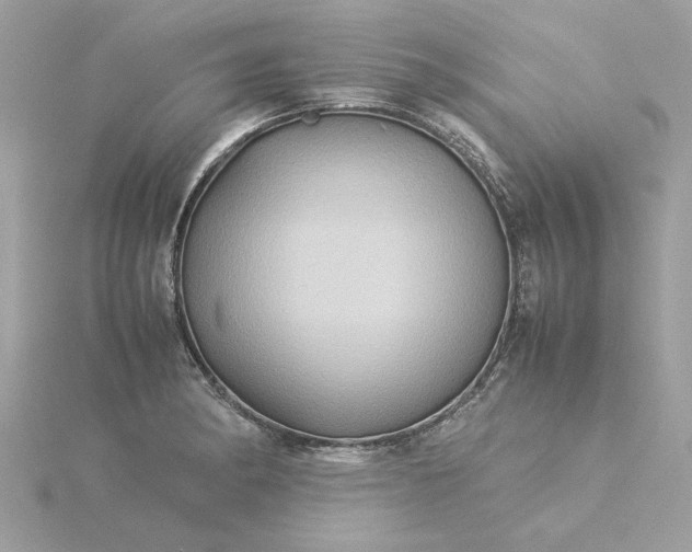 X0000116061182200912041848