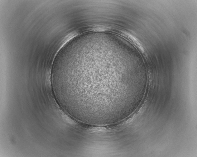 X0000116061186200912041847