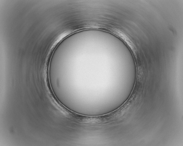 X0000116061187200912041847