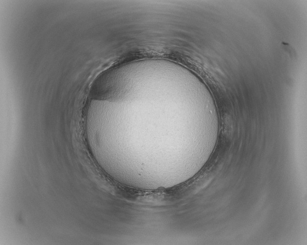 X0000116061201200912041847