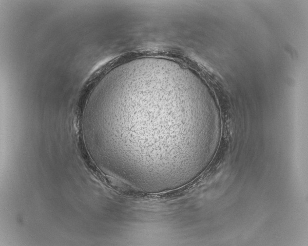 X0000116061206200912041847