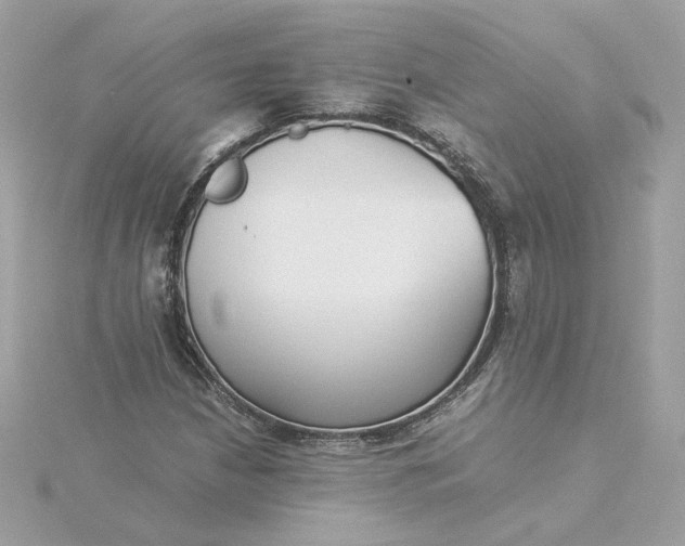 X0000116061210200912041847
